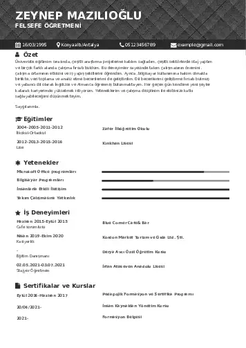 Felsefe Öğretmeni CV Örnekleri cv indir